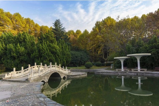 诗情画意，初秋的交大是仙交本仙了！