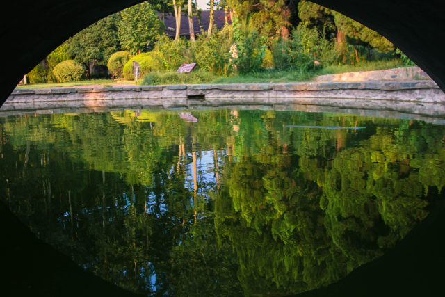 诗情画意，初秋的交大是仙交本仙了！