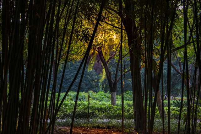 诗情画意，初秋的交大是仙交本仙了！