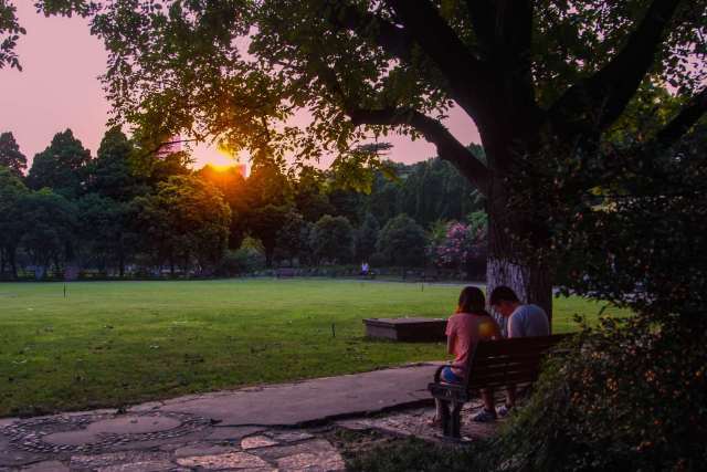 诗情画意，初秋的交大是仙交本仙了！