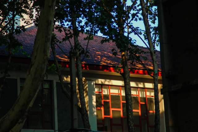 诗情画意，初秋的交大是仙交本仙了！