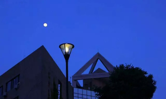 诗情画意，初秋的交大是仙交本仙了！