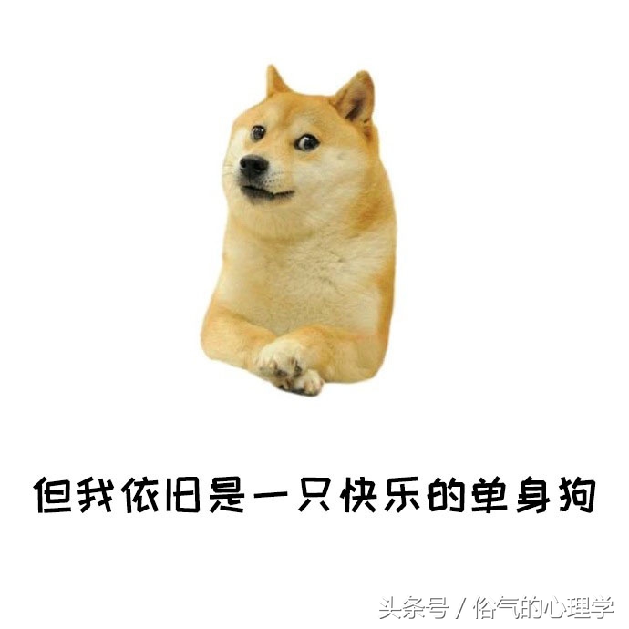 心理学真相:单身狗不止是一个简单称谓