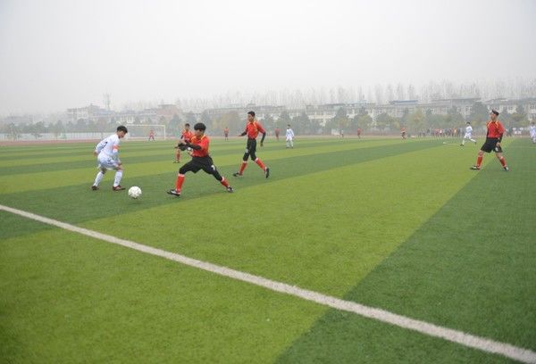 阜阳这31所学校被教育部点名了！有你的学校吗？