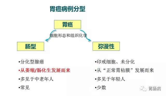 抽血就能筛查胃癌吗？