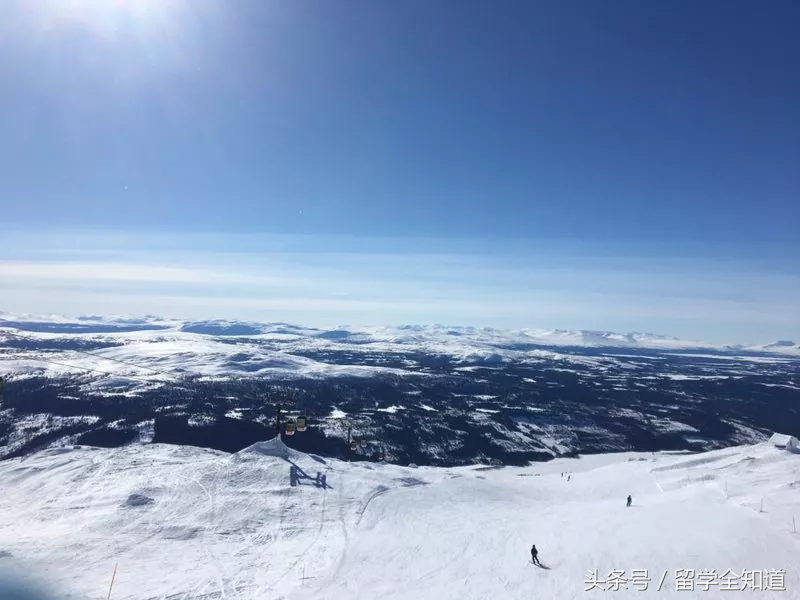 放弃美国，我如何在挪威收获学位、爱情和生活的快乐？
