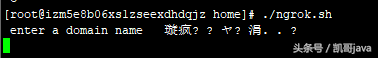 内网穿透利器-ngrok的图文安装