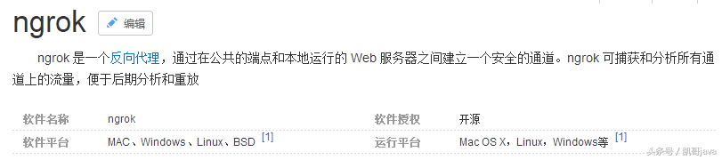 内网穿透利器-ngrok的图文安装