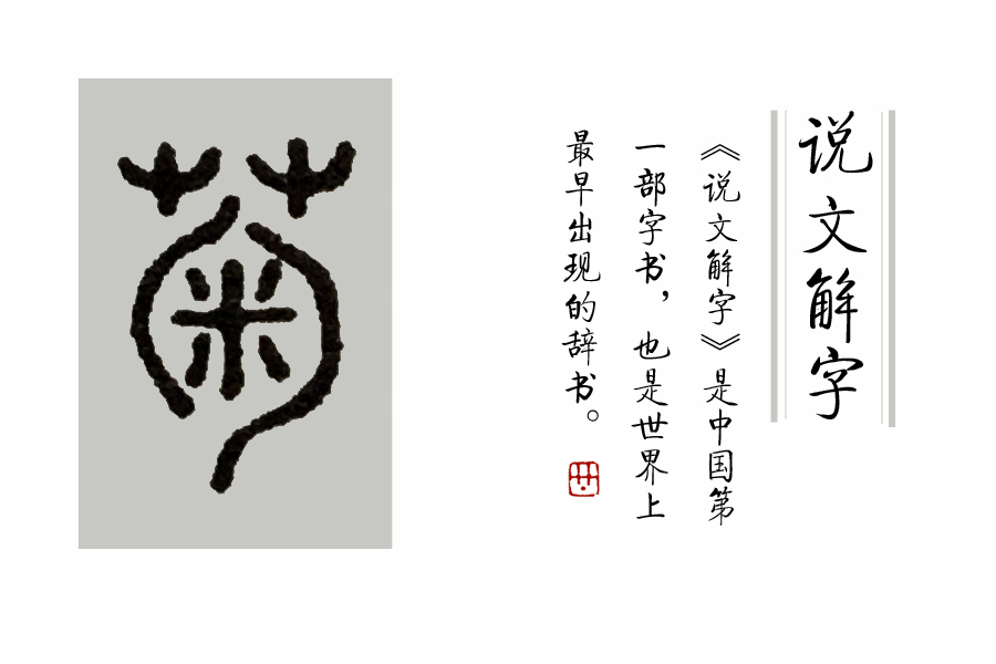 菊的小篆写法如图(吴昌硕的印作:鲜鲜霜中菊《说文解字》等古文字
