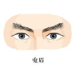 眉毛在面相学中被称保寿宫也被称“兄弟宫”，看人品格和感情动向