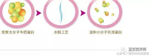 深度水解、适度水解和氨基酸奶粉，到底是什么鬼，看完全懂！