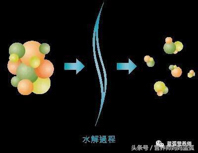 纽康满深度水解奶粉：适合乳蛋白过敏的宝宝，0-12个月0-1岁全阶段。