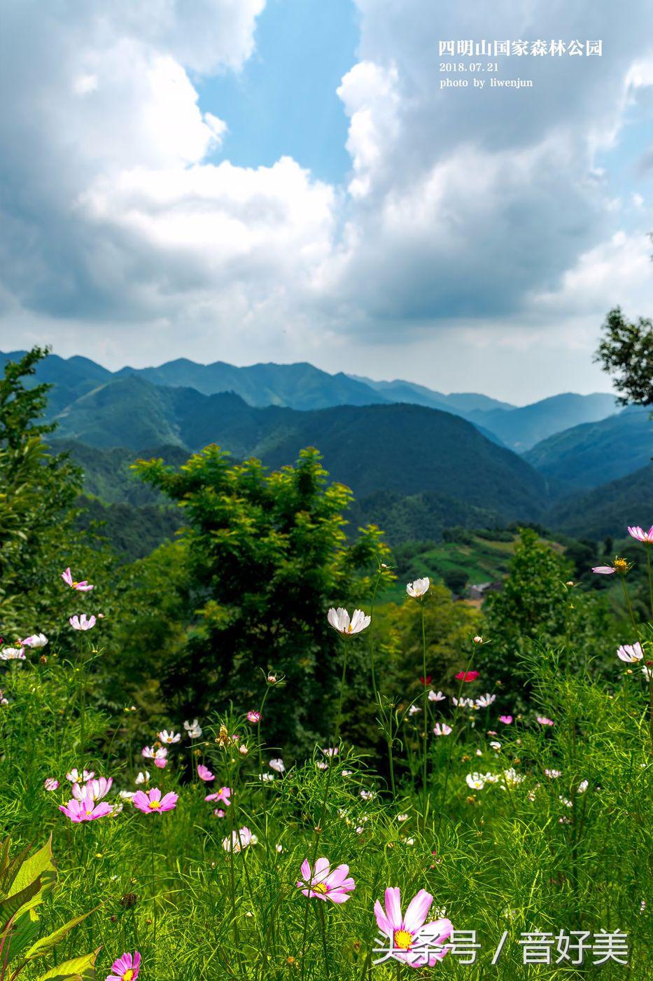 四明山风景区图片