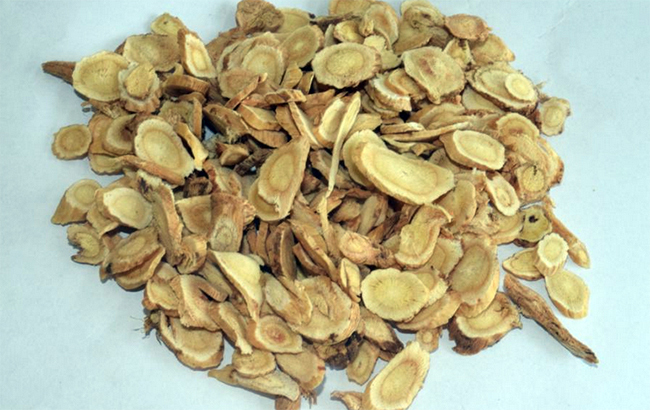 黄芪当归这样喝,正气色,补肾气,延缓衰老,解决女人一大难题