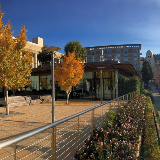 Pick你心中的C位法学院（美国高校篇）