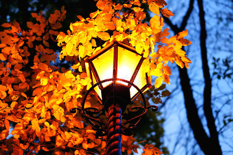 送你10首关于秋的诗词，细细品味秋天的美