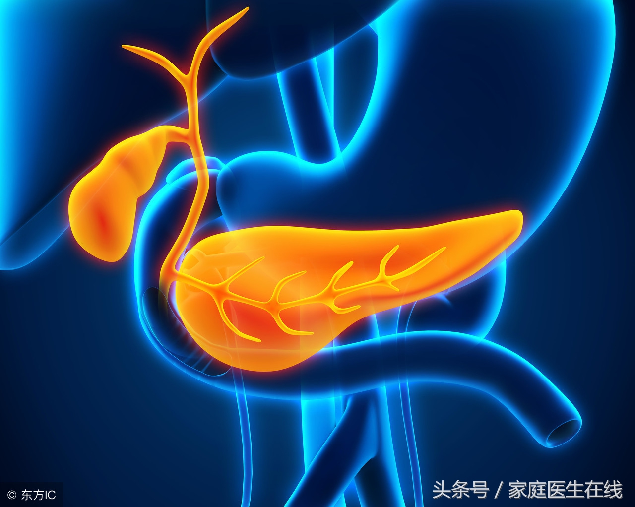 这些日常习惯可能悄悄引发胆囊息肉