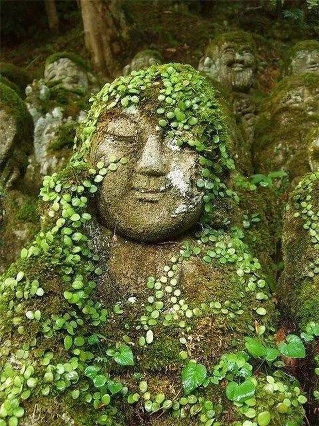 禅意八章：佛门悟道经典诗句赏析