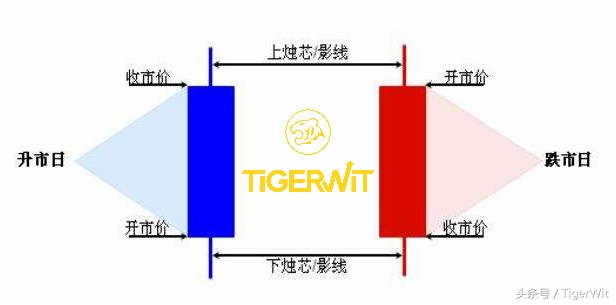 怎样炒外汇入门知识攻略：爆料！炒外汇大佬常用的技术图表