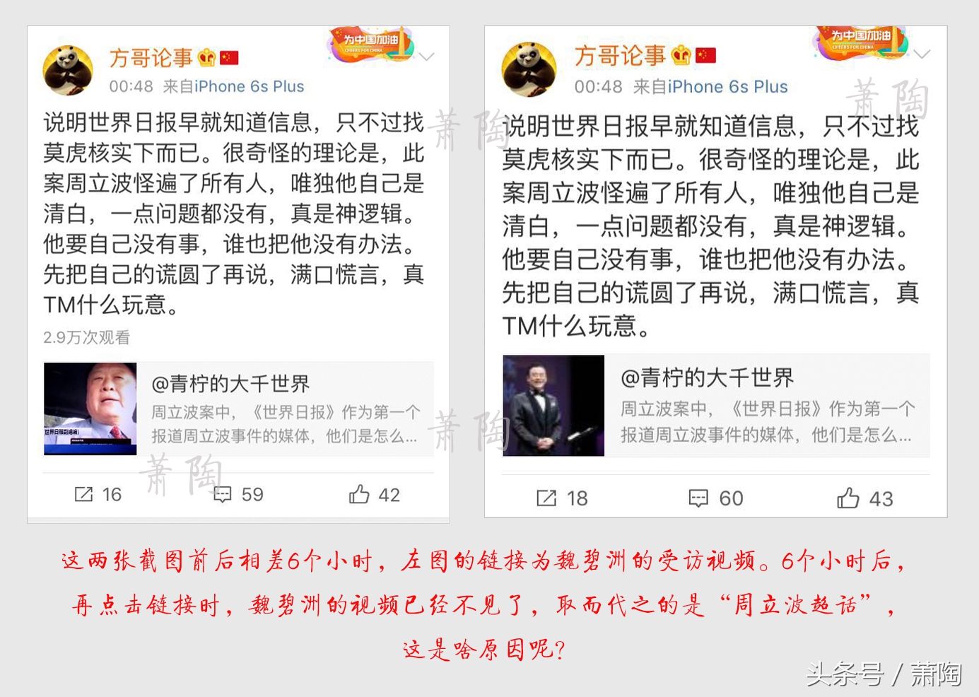 莫虎为何不在第一时间去保释周立波 答案其实早有了 只是你没看