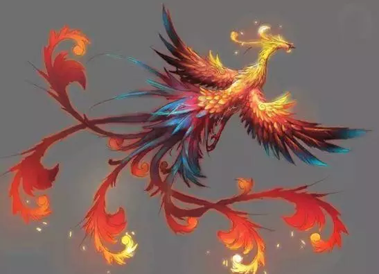 十二星座守护神兽,双子座吉祥的象征,水瓶座是太阳精灵!