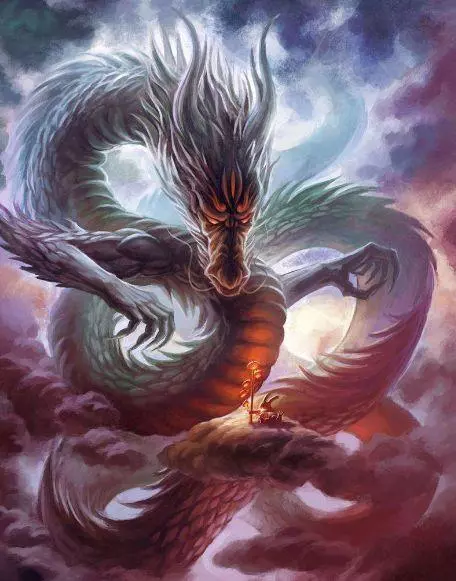 十二星座守护神兽,双子座吉祥的象征,水瓶座是太阳精灵!