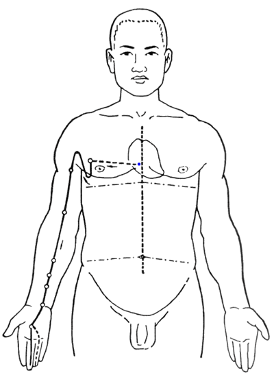 人体十二经络与十二时辰的关系和运行路线图解展示