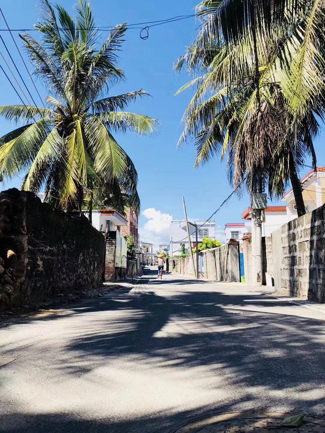 轻钢比砖混更适合农村?海南三亚40万盖轻钢别墅,胜过邻居砖房