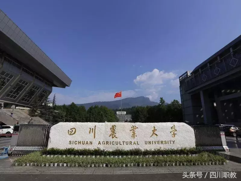 在成都坐地铁就能搞定！四川部分高校新生报到乘车路线来啦！