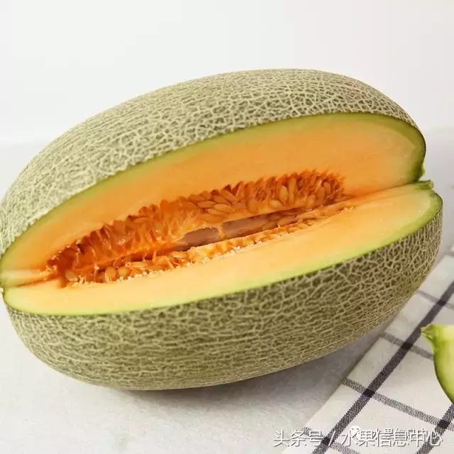 哈密瓜长在树上还是地上（最全哈密瓜产地和品种说明书）