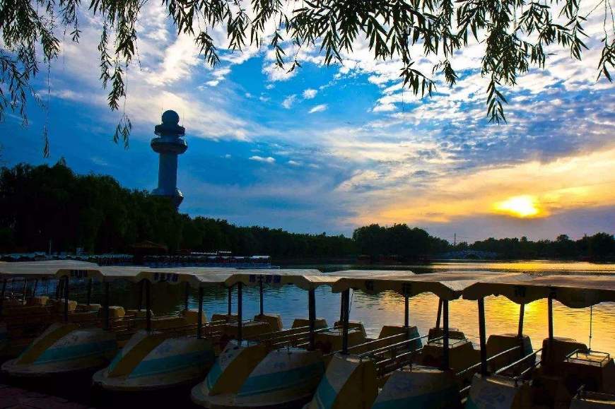 龙乡濮阳这三个旅游景点,让游客流连忘返,你了解吗