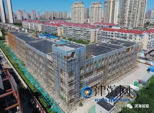 天津滨海新区这4所学校！哪个更牛！