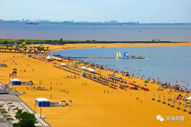 天津滨海新区这4所学校！哪个更牛！