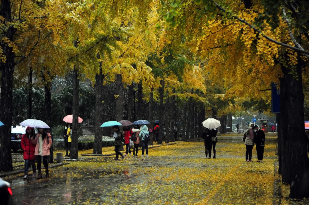 北航，农大，地大，北林……学院路八大学院，多少人的青春记忆？