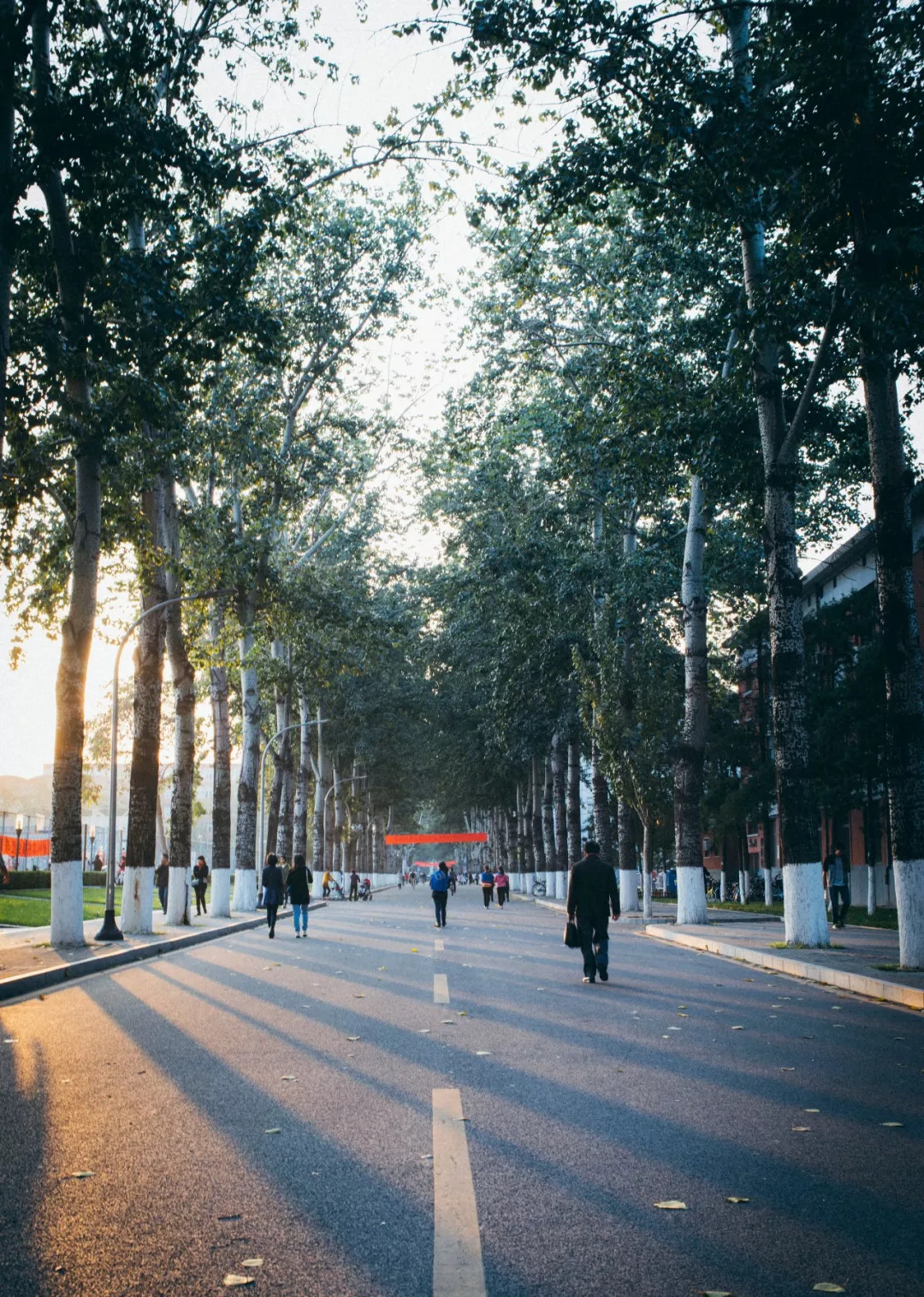 北航，农大，地大，北林……学院路八大学院，多少人的青春记忆？