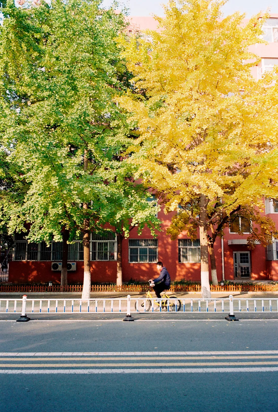 北航，农大，地大，北林……学院路八大学院，多少人的青春记忆？