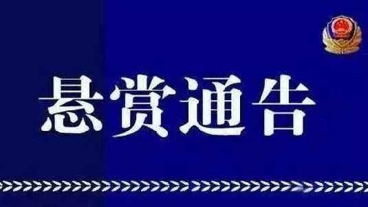 吉林省公安厅公开悬赏通缉10名涉黑涉恶在逃人员