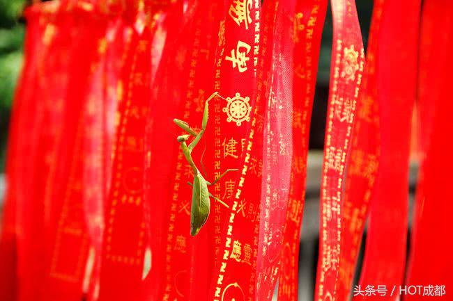 “拜水都江堰，问道青城山”的下一句是啥？答案就在这座寺庙里