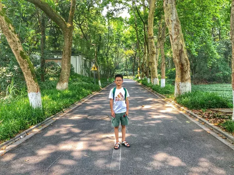 隐于杭城繁华地，置身于九溪天然氧吧，杭州千禧度假酒店