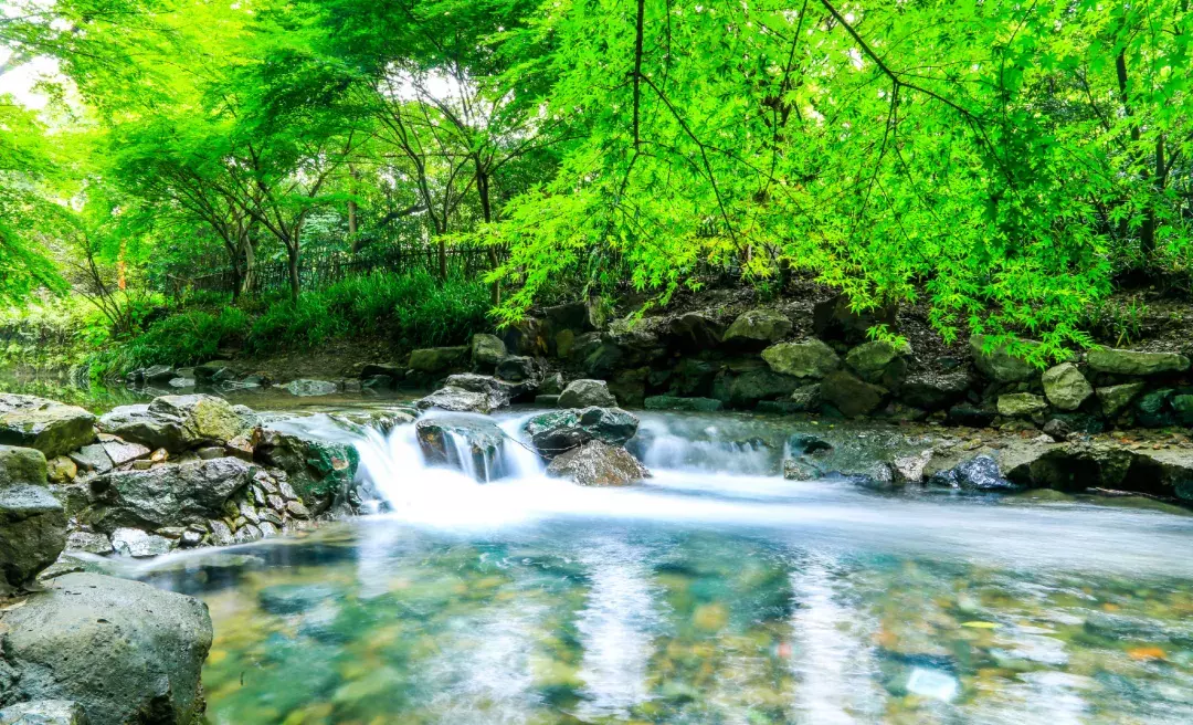 隐于杭城繁华地，置身于九溪天然氧吧，杭州千禧度假酒店