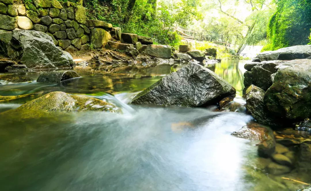 隐于杭城繁华地，置身于九溪天然氧吧，杭州千禧度假酒店