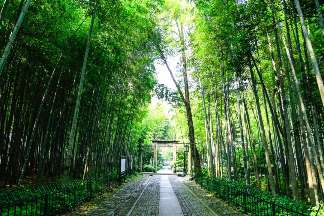 隐于杭城繁华地，置身于九溪天然氧吧，杭州千禧度假酒店