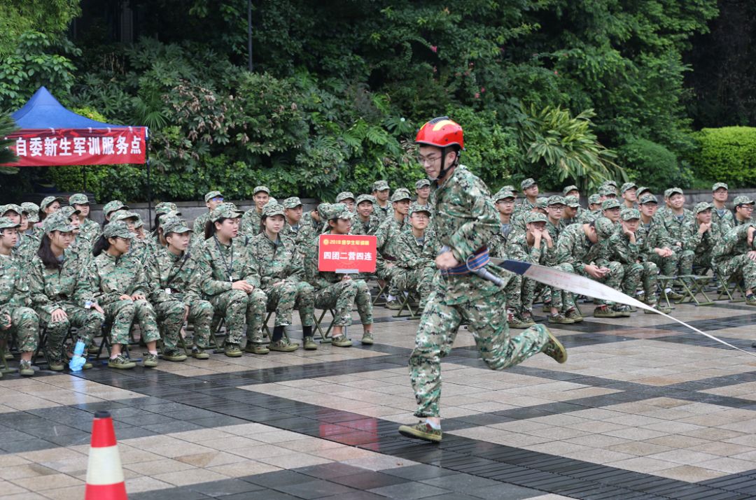 速览｜主城区新增77个公园｜轨道3号线拟技改运行8节编组列车
