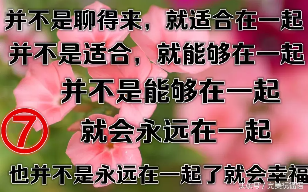 8句金言，很毒，看懂的都是高人！