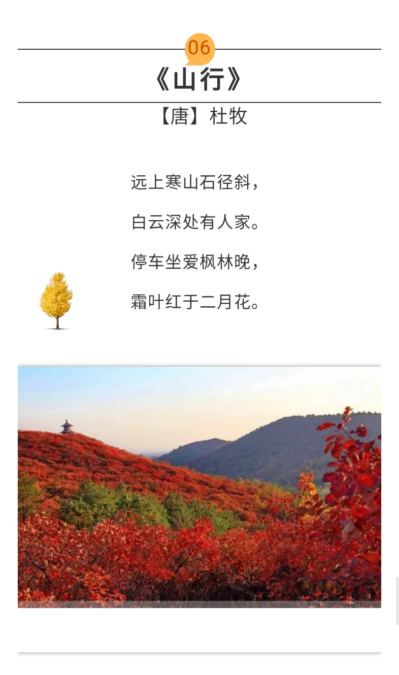 诗词丨这些关于秋天的好诗美景,你家孩子知道多少?