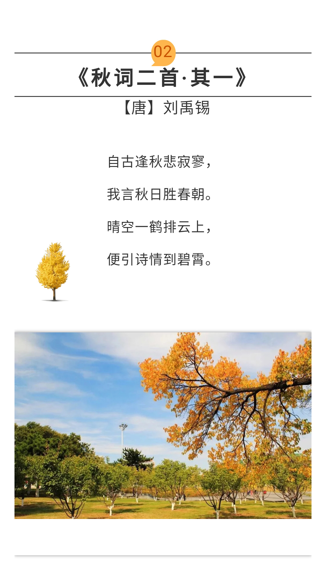 秋天的美景写一首诗_秋天的诗句景色美的诗句三年级 - 云林新闻励志网