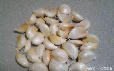 秋天种一盆蒜苗，十天能长一尺高，可吃好几茬，还能收获大蒜