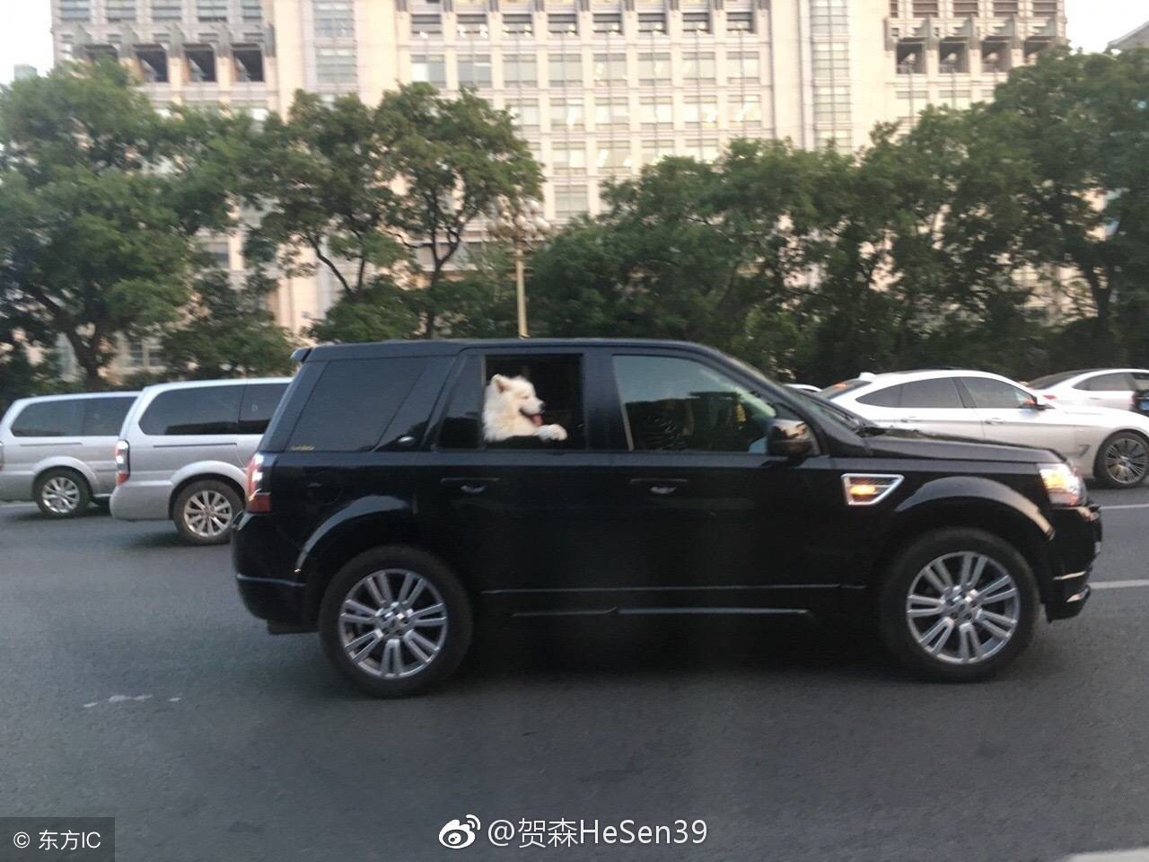 2019款宝来1.5L自动精英版和豪华，落地价多少钱，选哪个更好？