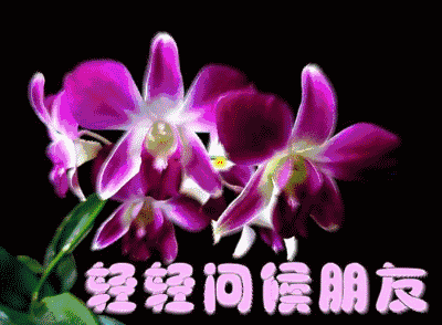 9月21，早上送祝福，祝出入平安，幸福无边，无灾无难，健康永远