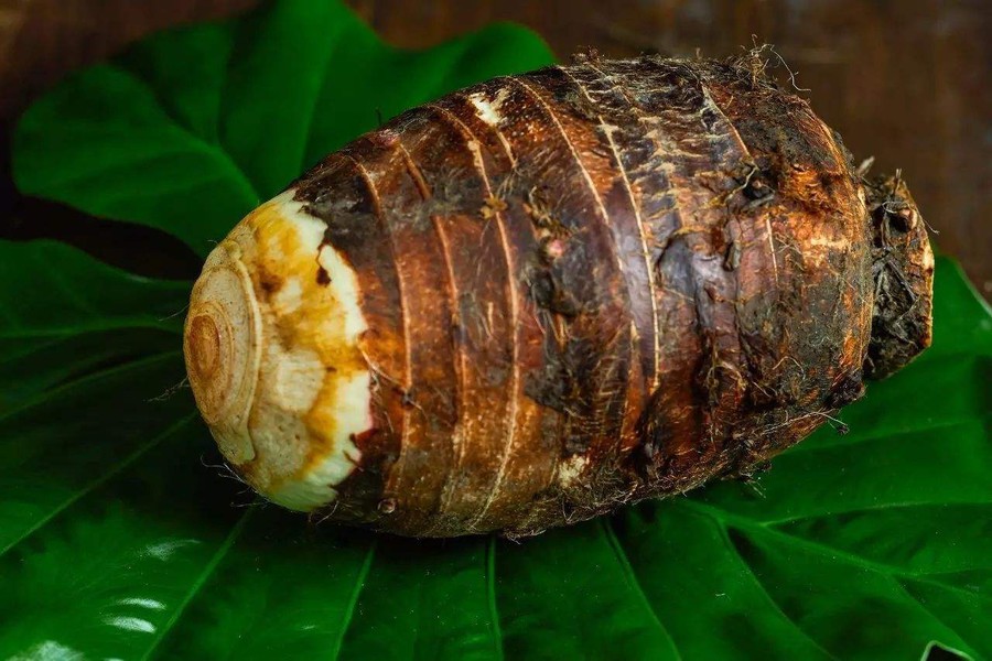 修仁薯莨(广西这道美食曾作为御用贡品,让乾隆皇帝爱不释手,魅力大过